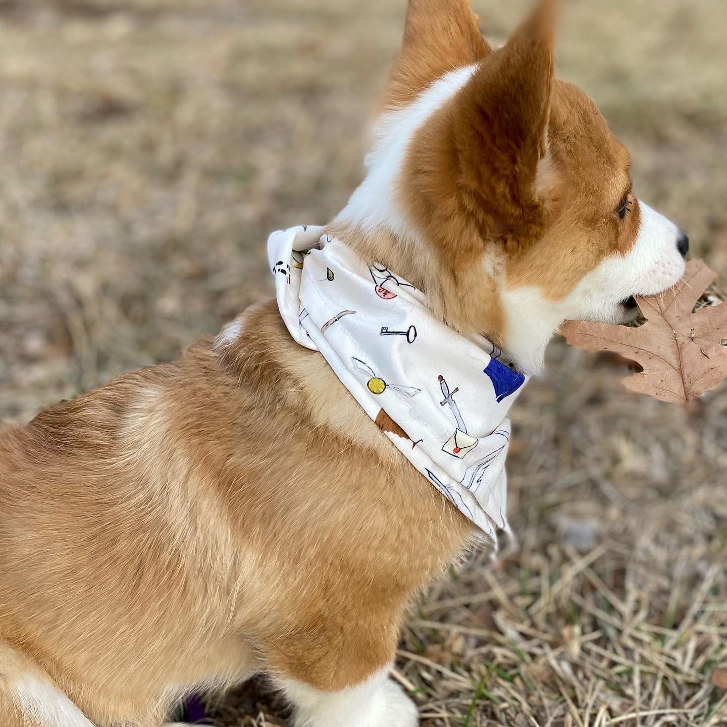 Loyal bandana